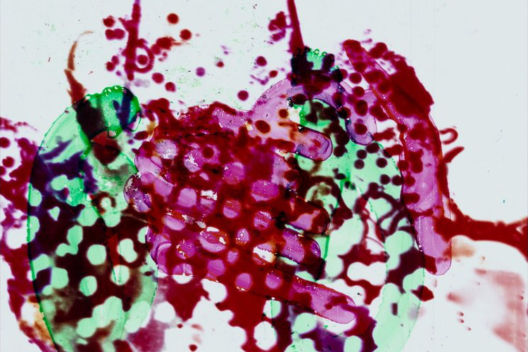 Film frame from survey materials